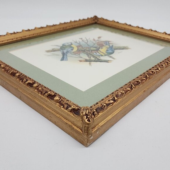 Vintage Framed Bird Illustration by Vortigern Gold Wooden Ornate Frame 13x10" - Picture 10 of 11